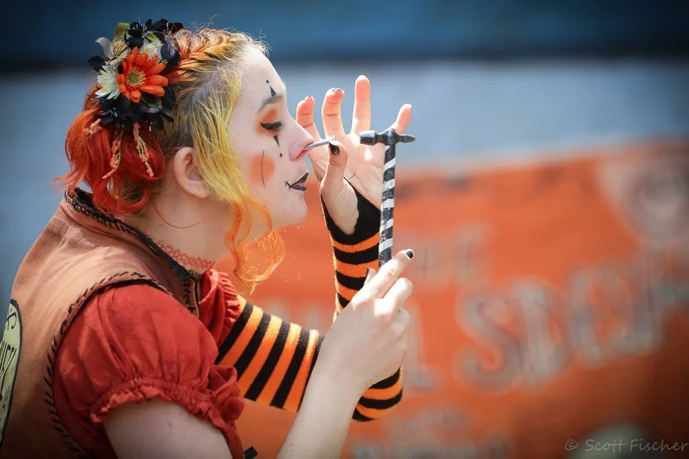 The Pinwheel Sideshow Scarborough FaireĀ®
